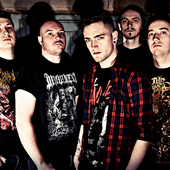 Ingested, 2014