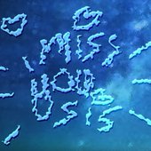 I Miss You Sis logo