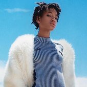 willow for id mag