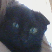 Avatar di Ollie890