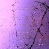 OA_PNG_01.png