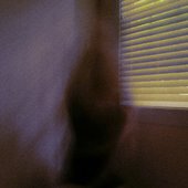 indigo awning - from Bandcamp