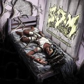 Ensaio Sobre A Má Vontade [Explicit]