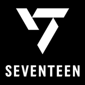 Avatar for SvtCarat13to1