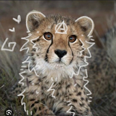 Avatar for FikaCheetah