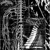 LWSTNDRDS Split