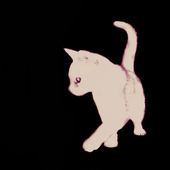 Avatar for Aphizay
