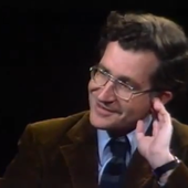 Chomsky on 'Day at Night'