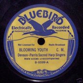 78 rpm Bluebird Denson-Parris Sacred Harp Singers.jpg