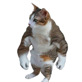 Avatar für ksmt1
