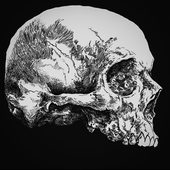 Avatar for SCR1845-6357A