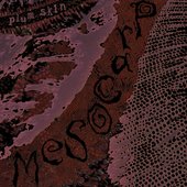 Mesocarp [Explicit]