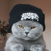 StraightOuttaFi 的头像