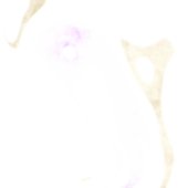 a2998604902_16.jpg