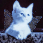 Avatar for aYuyXx