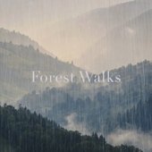 Forest Walks