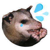 Avatar for Aloissuns