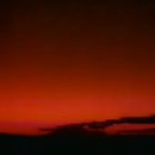 6237397A-7A00-44F0-AD54-FAE5FD0B9D5B.jpeg