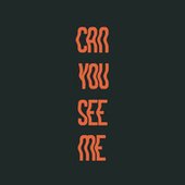 Can You See Me