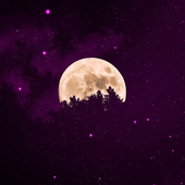 moonchild820 的头像