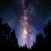 Avatar for daiminn