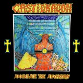 Annihilate The Adversary