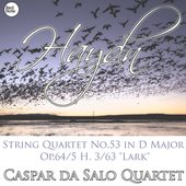 Haydn: String Quartet No.53 in D Major Op.64/5 H. 3/63 "Lark"