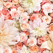Rose300 的头像