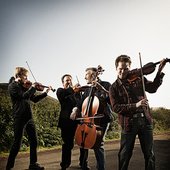 Turtle Island String Quartet