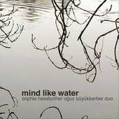 Mind Like Water