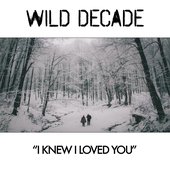 I Knew I Loved You - Single