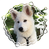 Avatar for lumilovesclouds