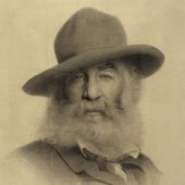 459px-Thomas_Wilmer_Dewing_-_Walt_Whitman_-_1875.jpg