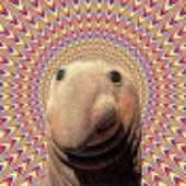 Avatar for phoon95