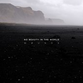 No Beauty In The World