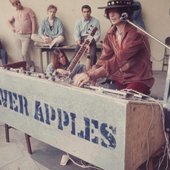 Silver Apples