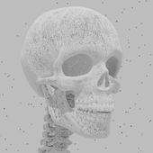 Avatar for basmannetjeee