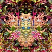 Shpongle の音楽 動画 統計および写真 Last Fm