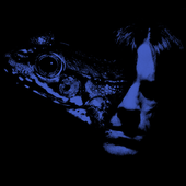 crepitate in raorchestes idiom pic