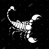 Avatar for scorpiogray