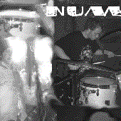 Numskull from UK.gif