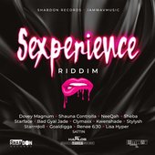 Sexperience Riddim