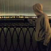 Bridge cage