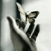 Avatar for Butterfly2000