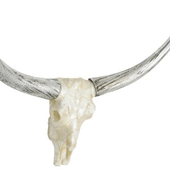 Avatar de Silverhorns