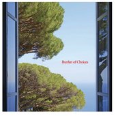 Burden of Choices