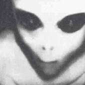 WorriedAlien 的头像
