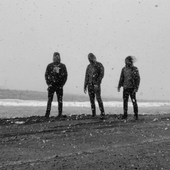 Wormwitch