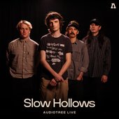 Audiotree Live