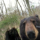 yellowbearr 的头像
